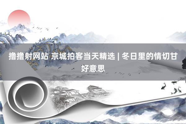 撸撸射网站 京城拍客当天精选 | 冬日里的情切甘好意思