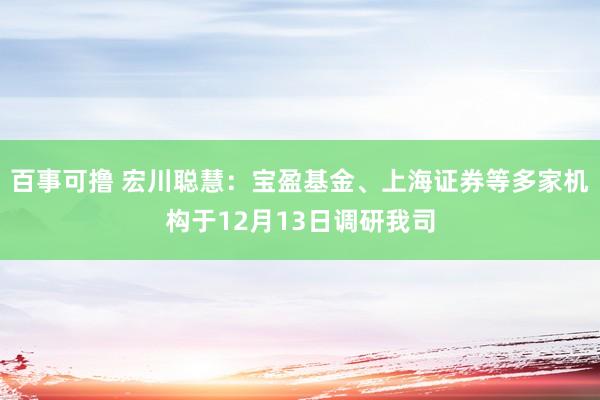 百事可撸 宏川聪慧：宝盈基金、上海证券等多家机构于12月13日调研我司