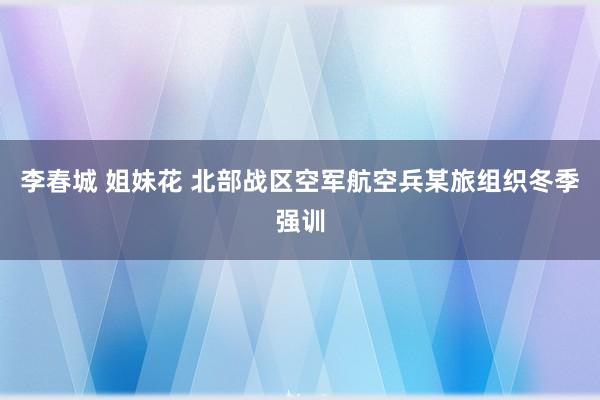 李春城 姐妹花 北部战区空军航空兵某旅组织冬季强训