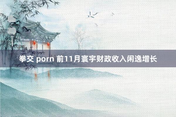 拳交 porn 前11月寰宇财政收入闲逸增长