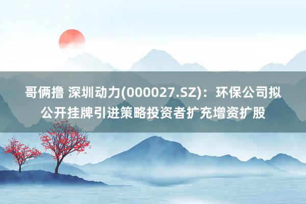 哥俩撸 深圳动力(000027.SZ)：环保公司拟公开挂牌引进策略投资者扩充增资扩股