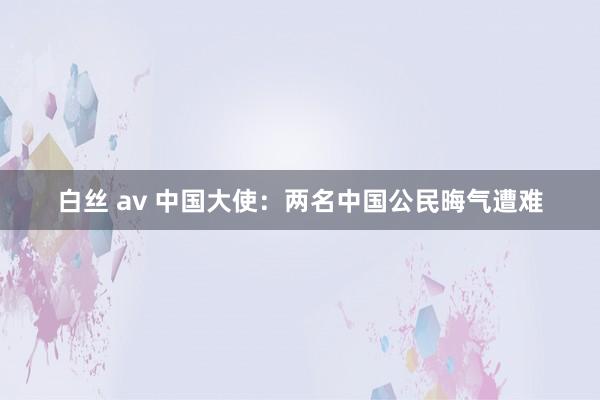 白丝 av 中国大使：两名中国公民晦气遭难