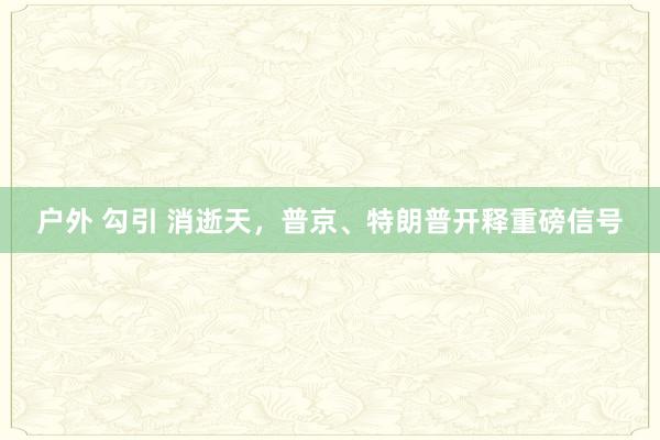 户外 勾引 消逝天，普京、特朗普开释重磅信号