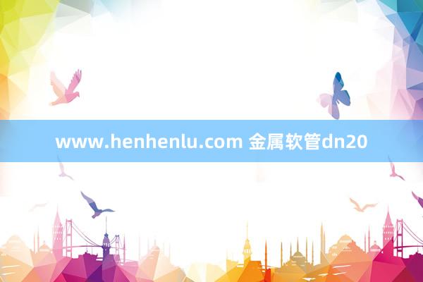 www.henhenlu.com 金属软管dn20