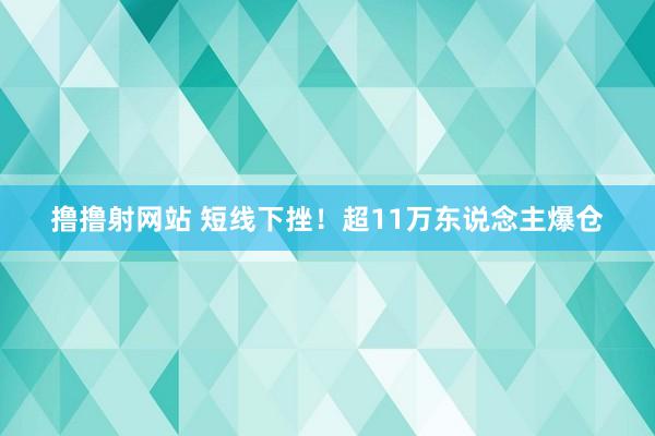 撸撸射网站 短线下挫！超11万东说念主爆仓