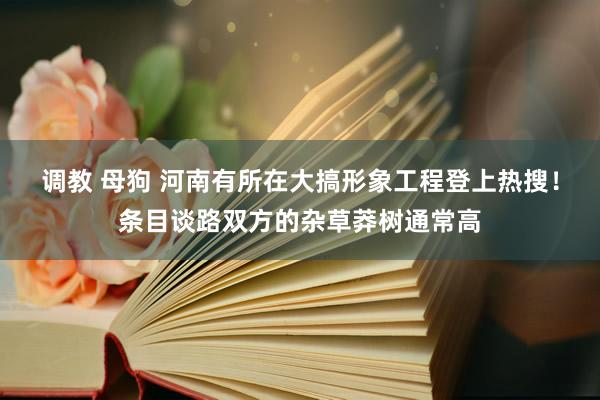 调教 母狗 河南有所在大搞形象工程登上热搜！条目谈路双方的杂草莽树通常高