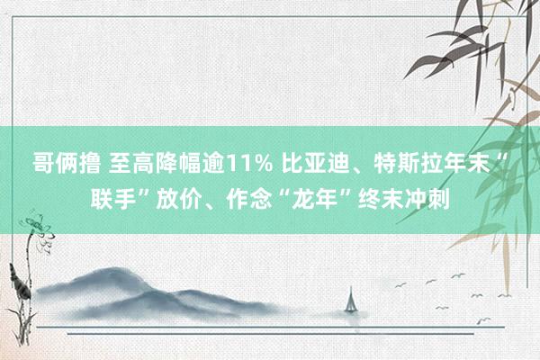 哥俩撸 至高降幅逾11% 比亚迪、特斯拉年末“联手”放价、作念“龙年”终末冲刺