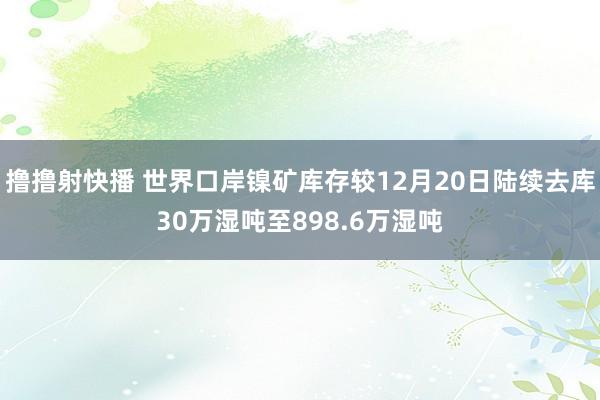 撸撸射快播 世界口岸镍矿库存较12月20日陆续去库30万湿吨至898.6万湿吨