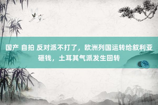 国产 自拍 反对派不打了，欧洲列国运转给叙利亚砸钱，土耳其气派发生回转