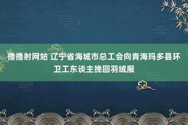 撸撸射网站 辽宁省海城市总工会向青海玛多县环卫工东谈主挽回羽绒服