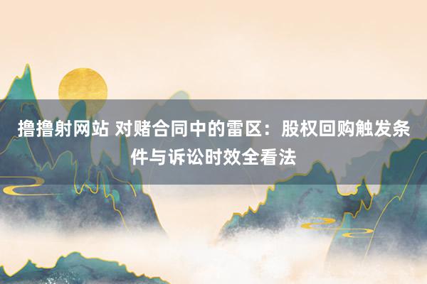 撸撸射网站 对赌合同中的雷区：股权回购触发条件与诉讼时效全看法