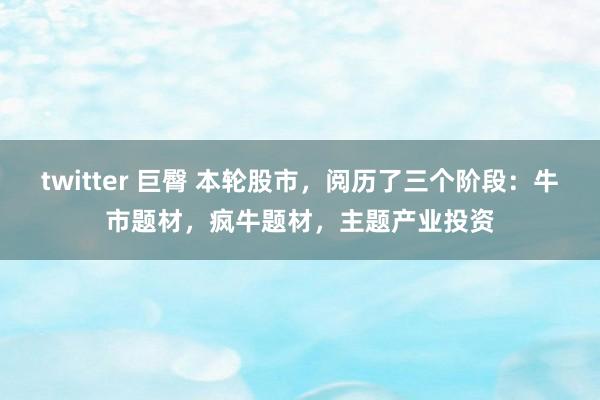 twitter 巨臀 本轮股市，阅历了三个阶段：牛市题材，疯牛题材，主题产业投资