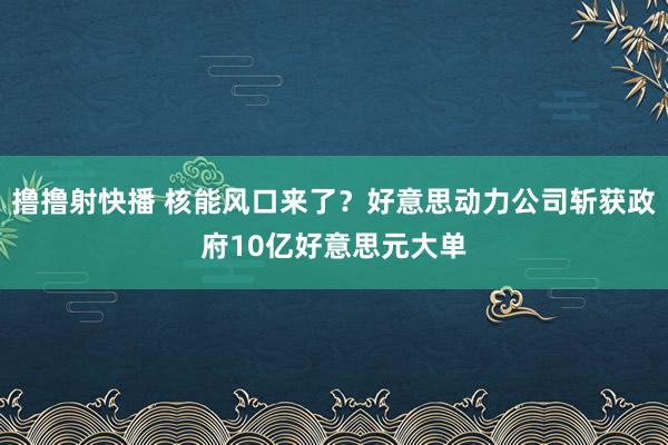 撸撸射快播 核能风口来了？好意思动力公司斩获政府10亿好意思元大单