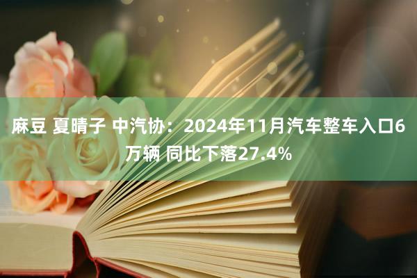 麻豆 夏晴子 中汽协：2024年11月汽车整车入口6万辆 同比下落27.4%