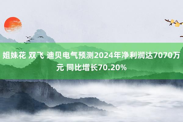 姐妹花 双飞 迪贝电气预测2024年净利润达7070万元 同比增长70.20%