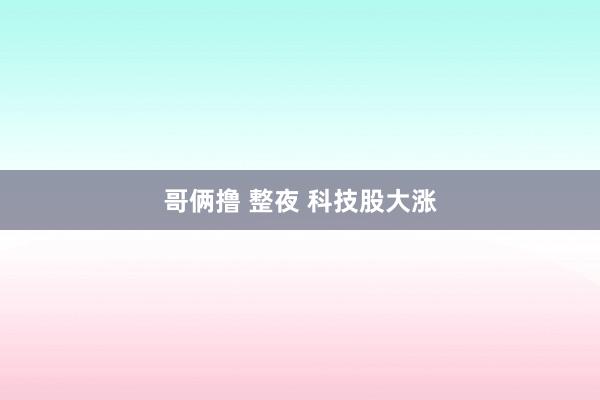 哥俩撸 整夜 科技股大涨