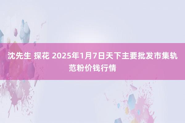 沈先生 探花 2025年1月7日天下主要批发市集轨范粉价钱行情