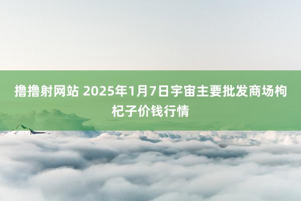 撸撸射网站 2025年1月7日宇宙主要批发商场枸杞子价钱行情