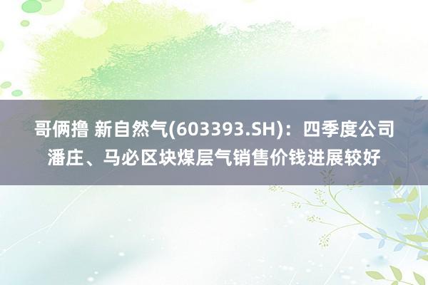 哥俩撸 新自然气(603393.SH)：四季度公司潘庄、马必区块煤层气销售价钱进展较好