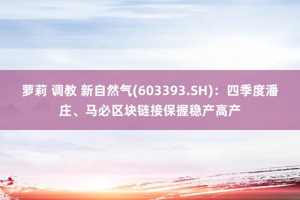 萝莉 调教 新自然气(603393.SH)：四季度潘庄、马必区块链接保握稳产高产