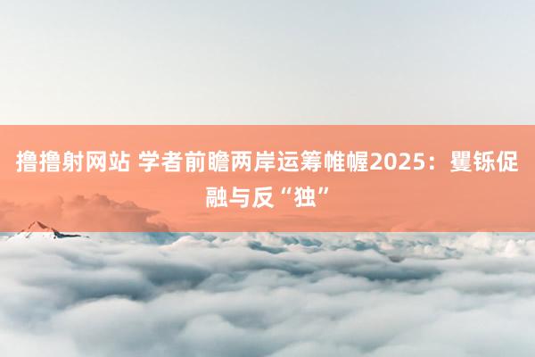 撸撸射网站 学者前瞻两岸运筹帷幄2025：矍铄促融与反“独”