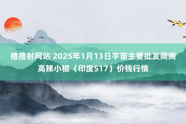 撸撸射网站 2025年1月13日宇宙主要批发阛阓高辣小椒（印度S17）价钱行情