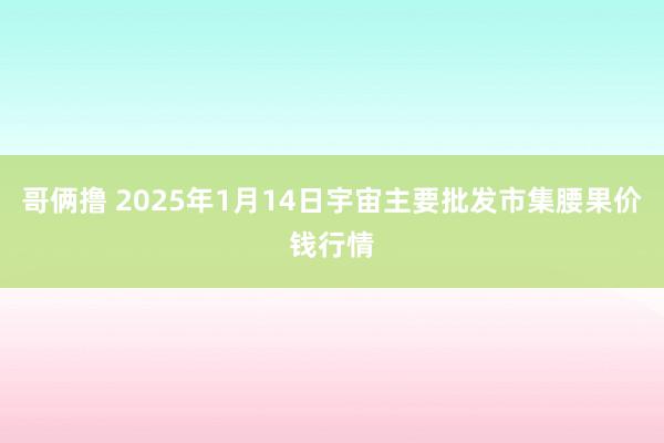 哥俩撸 2025年1月14日宇宙主要批发市集腰果价钱行情