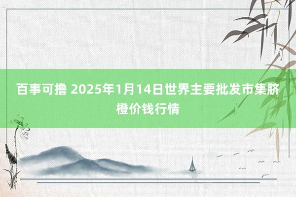 百事可撸 2025年1月14日世界主要批发市集脐橙价钱行情