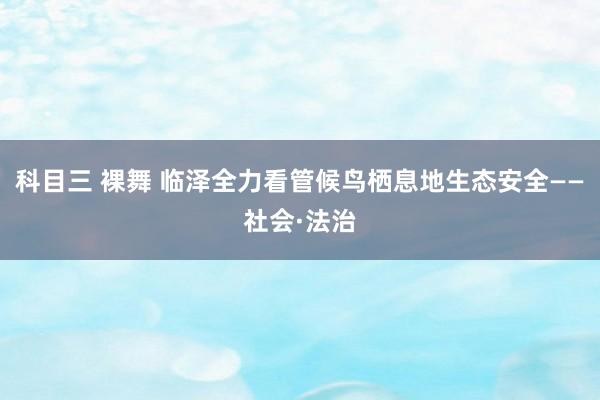 科目三 裸舞 临泽全力看管候鸟栖息地生态安全——社会·法治