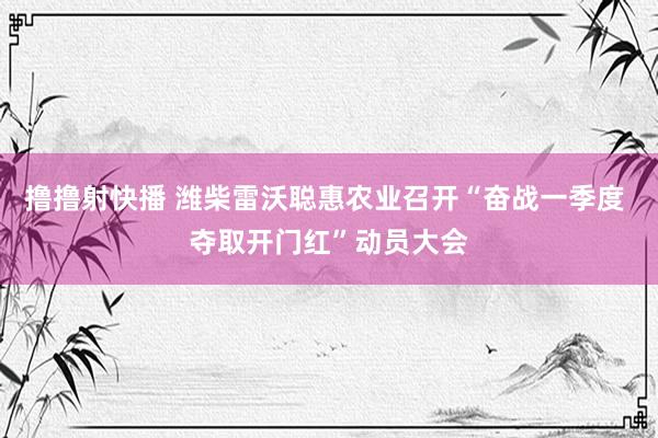 撸撸射快播 潍柴雷沃聪惠农业召开“奋战一季度 夺取开门红”动员大会