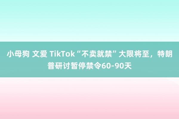 小母狗 文爱 TikTok“不卖就禁”大限将至，特朗普研讨暂停禁令60-90天