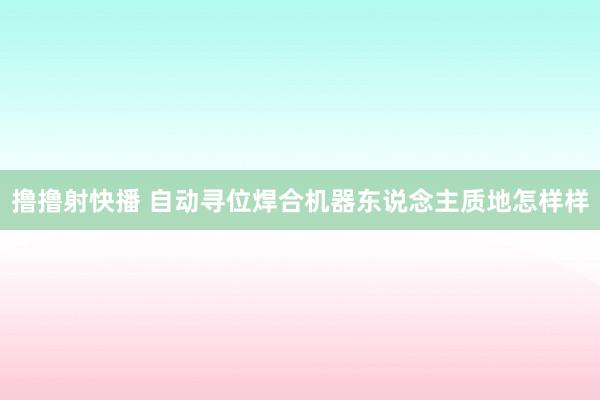 撸撸射快播 自动寻位焊合机器东说念主质地怎样样